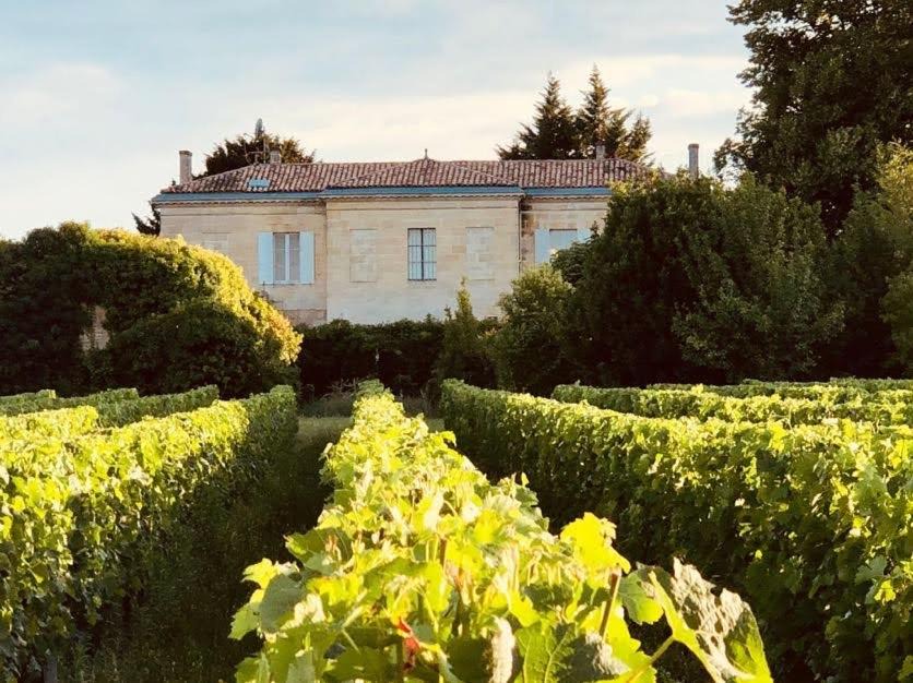 Photo of Others in Bayon-sur-Gironde