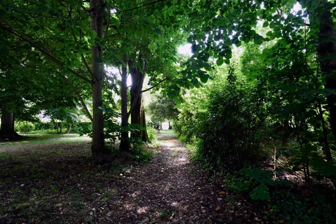 Photo of Others in Bayon-sur-Gironde