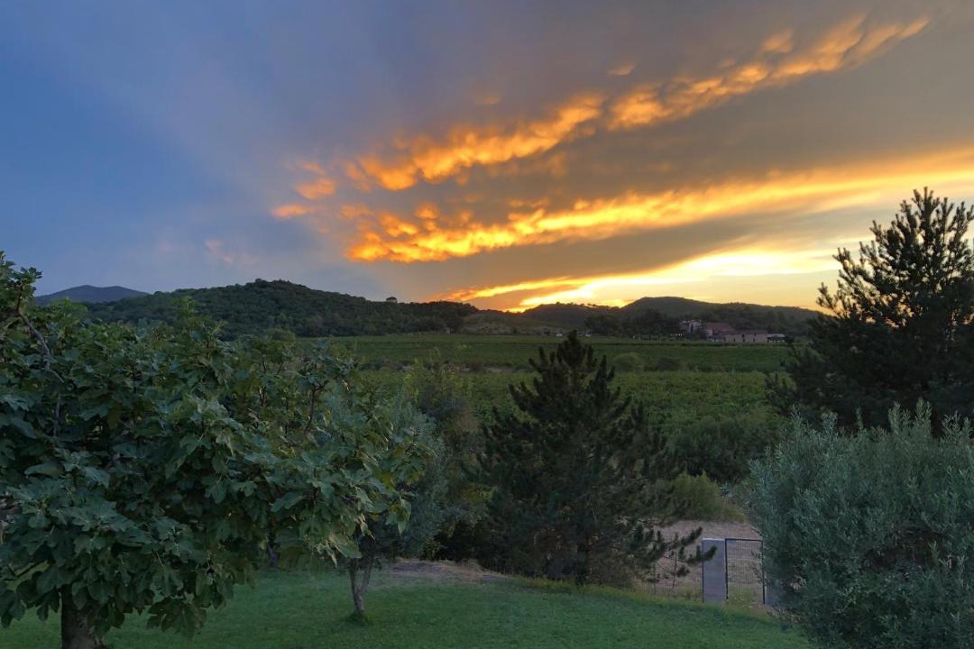 Photo of Others in Castelnou
