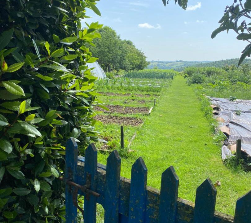 Photo of Others in Saint-Frajou