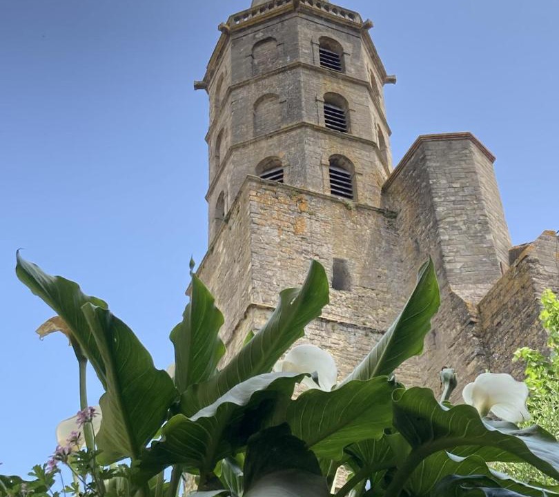Photo of Others in Castelnaudary