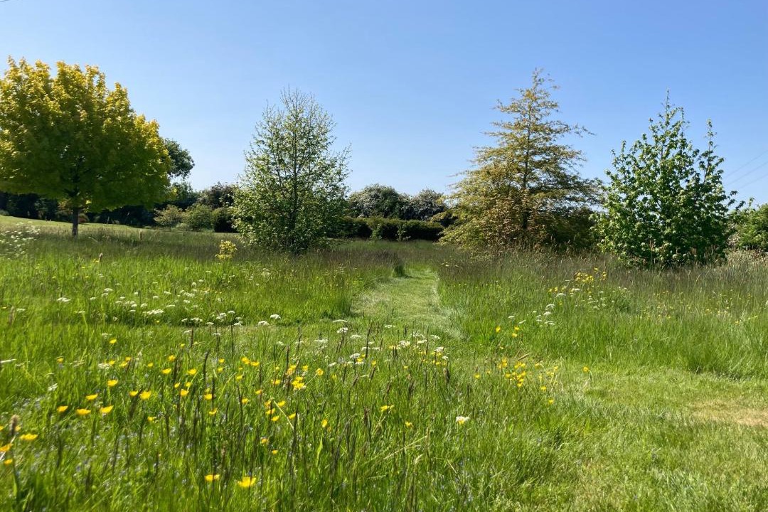 Photo of Others in Eydon