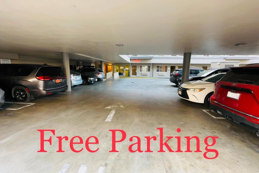 Photo of Others in Pacific Heights