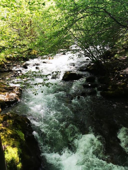 Photo of Others in Ustou