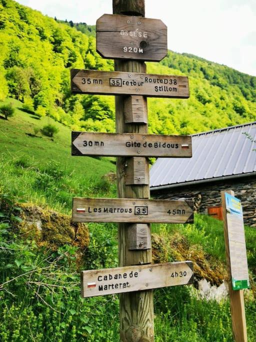 Photo of Buildings in Ustou