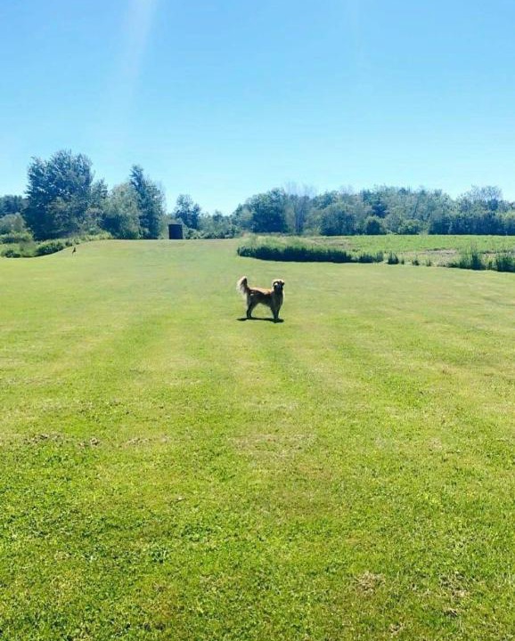 Photo of Others in Aylesford