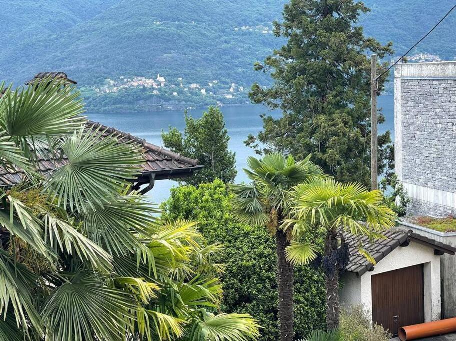 Photo of Others in Brissago