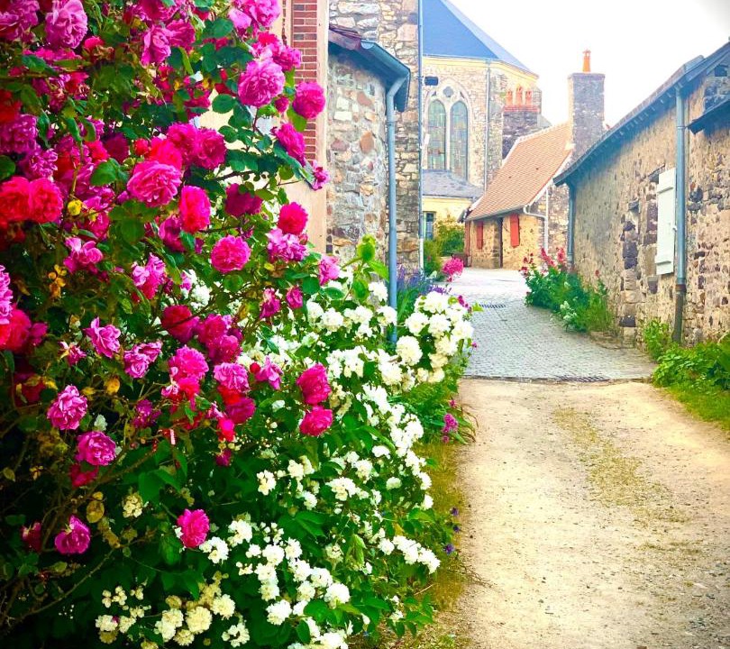 Photo of Others in Chammes