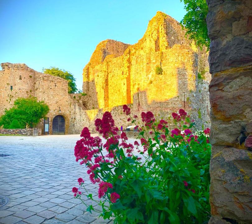 Photo of Others in Chammes