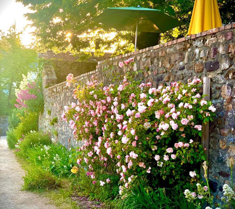 Photo of Others in Chammes