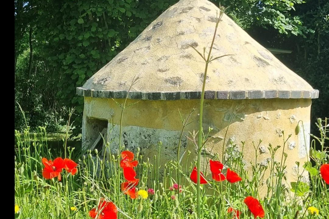 Photo of Others in Ige