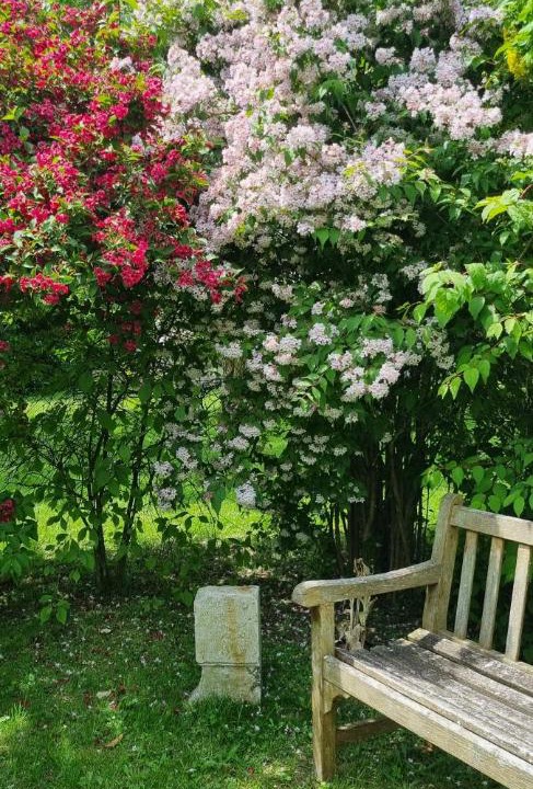 Photo of Others in Ige