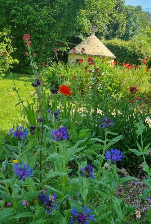 Photo of Others in Ige