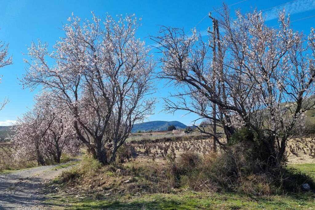 Photo of Outdoor in Padern