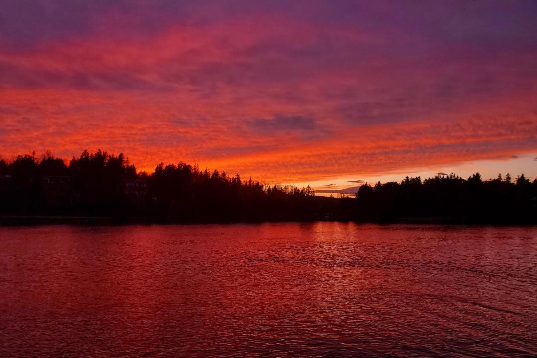 Photo of Others in Tantallon