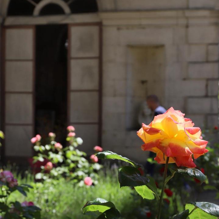 Photo of Others in Alencon