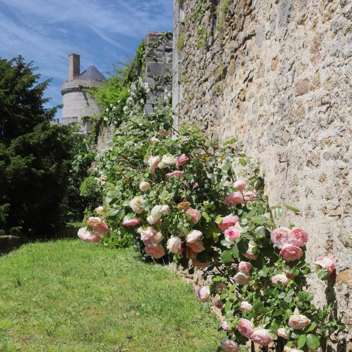 Photo of Others in Alencon