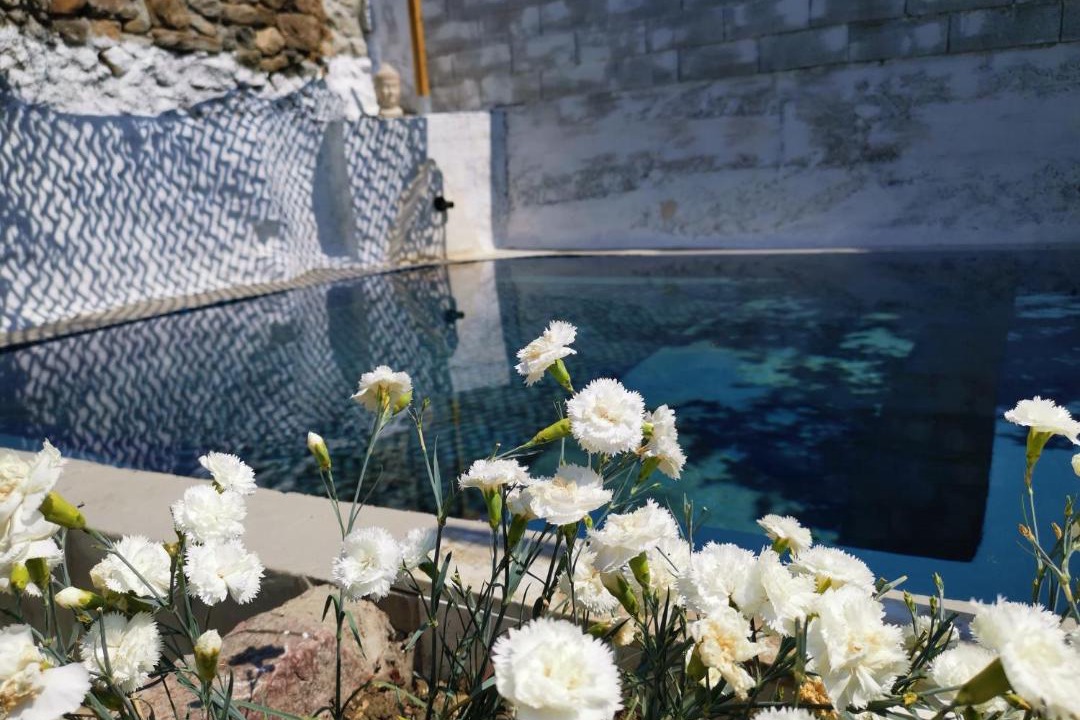 Photo of Others in Cabrieres