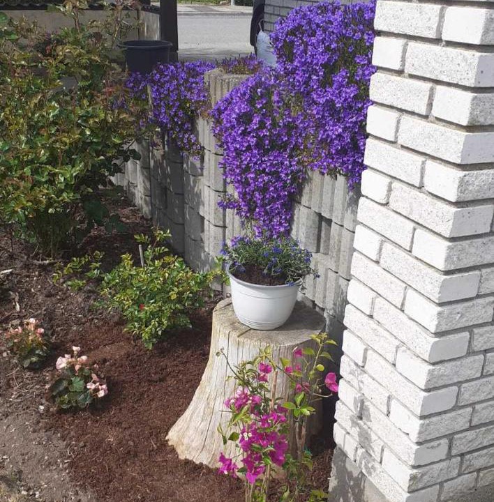 Photo of Buildings in Nyborg