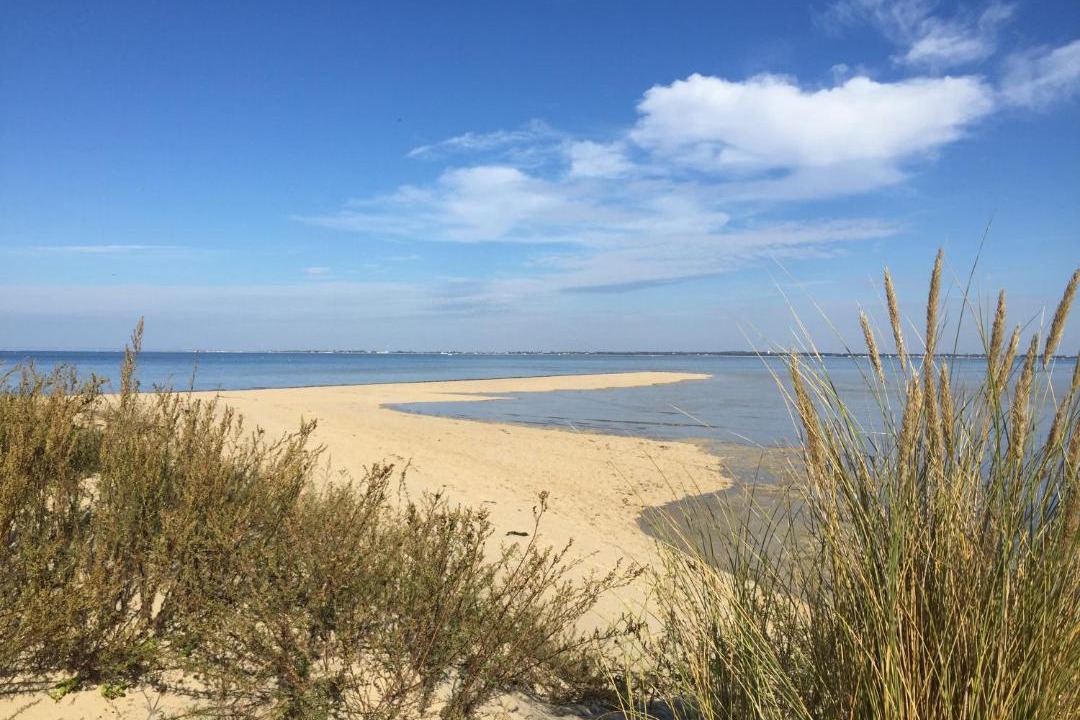 Photo of Others in Marennes