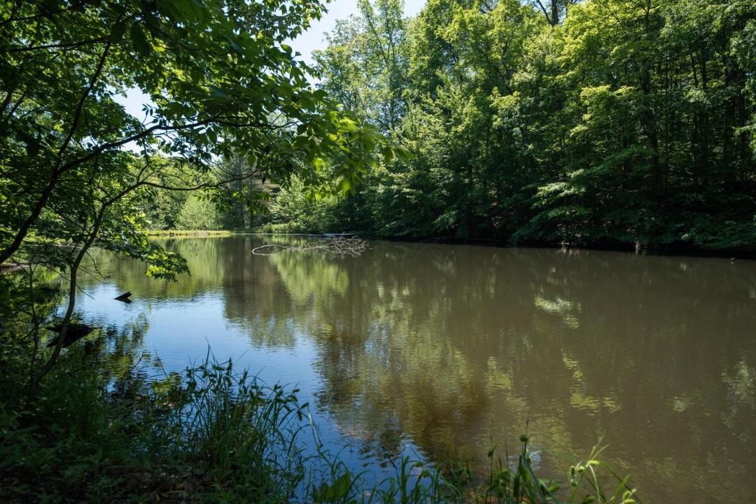 Photo of Others in Trafalgar