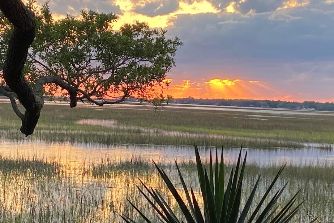 Photo of Others in Johns Island
