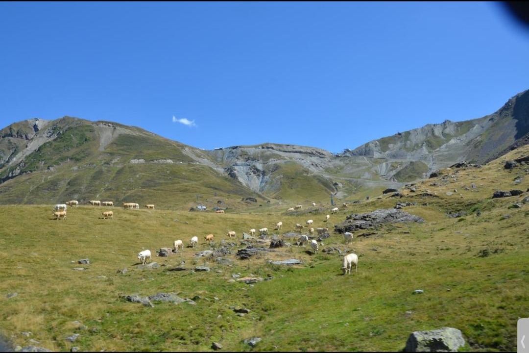 Photo of Others in Lombez