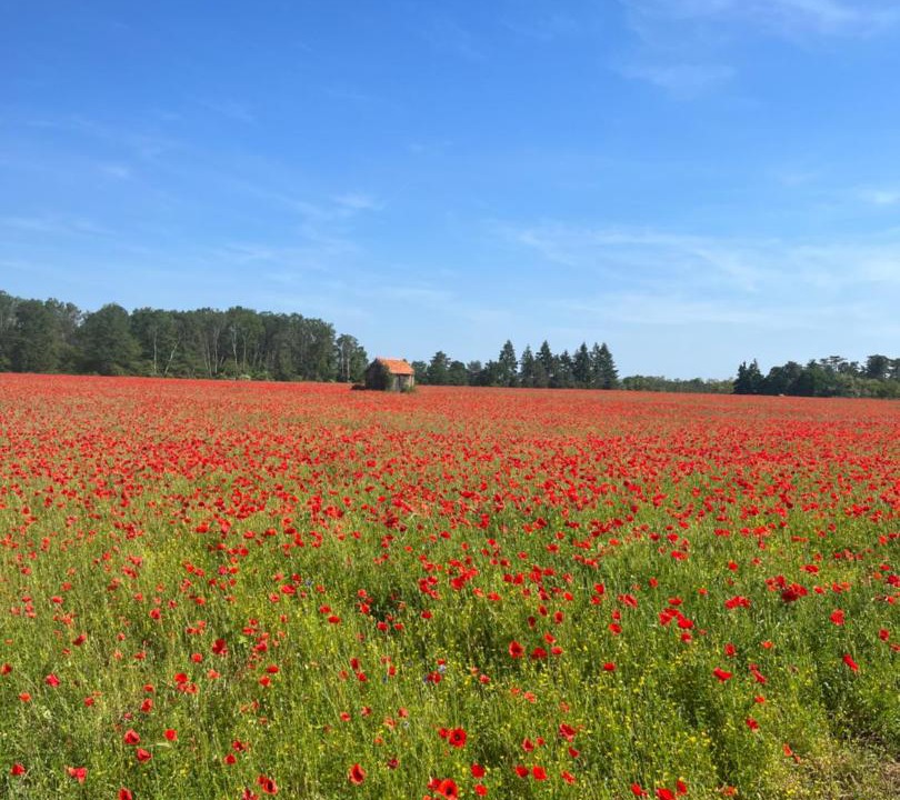 Photo of Others in Chaumont-sur-Tharonne