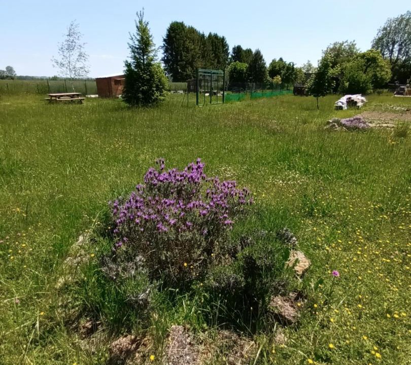 Photo of Others in Foucheres