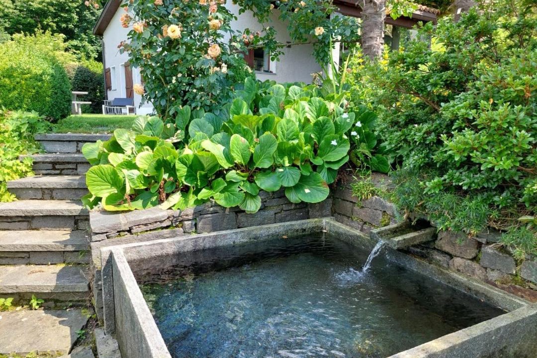 Photo of Outdoor in Magadino