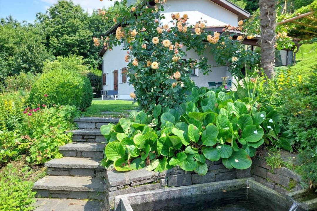 Photo of Others in Magadino