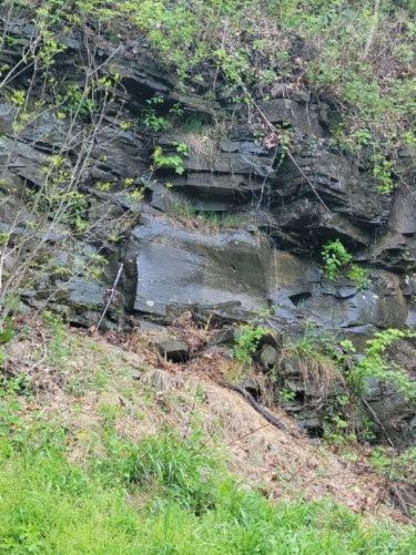 Photo of Others in Swanton