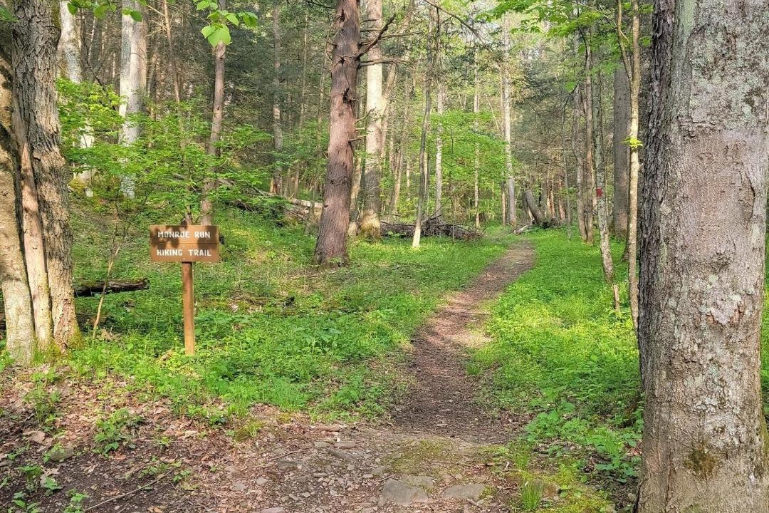 Photo of Others in Swanton