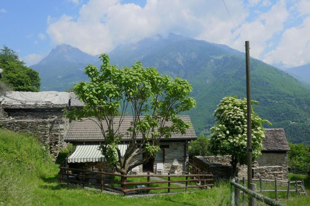 Photo of Others in Semione