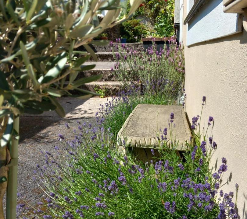 Photo of Others in Buckfastleigh