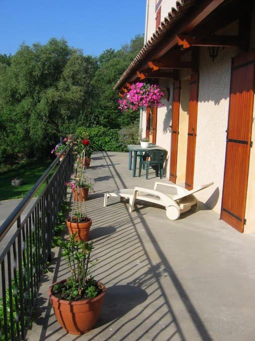 Photo of Others in Sisteron