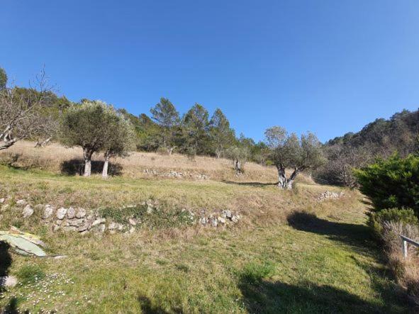 Photo of Others in Montferrat
