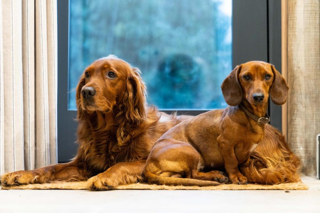 Photo of Others in Abbots Salford