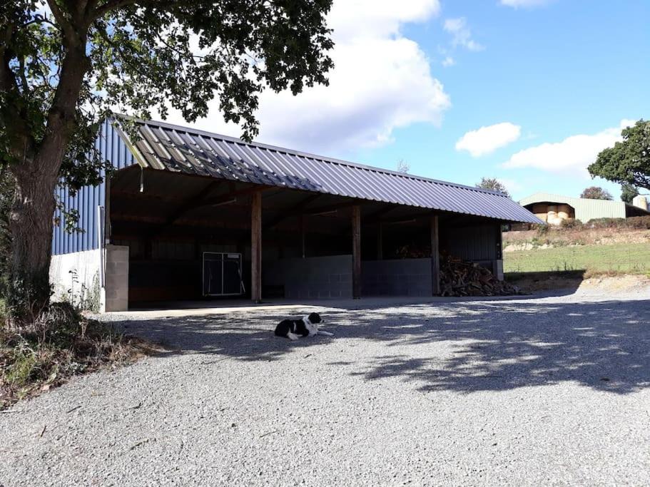 Photo of Buildings in Saint-Adrien