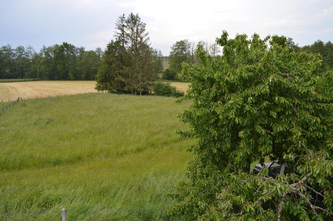 Photo of Others in Kindwiller