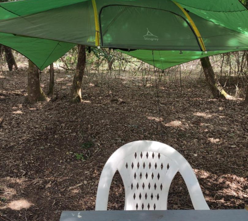 Photo of Others in Montcaret