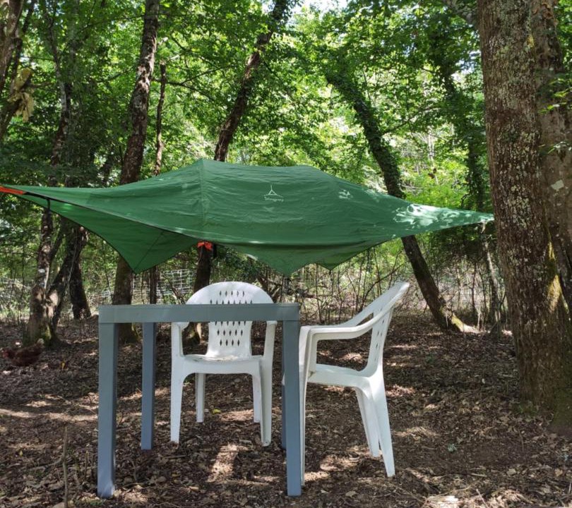 Photo of Others in Montcaret