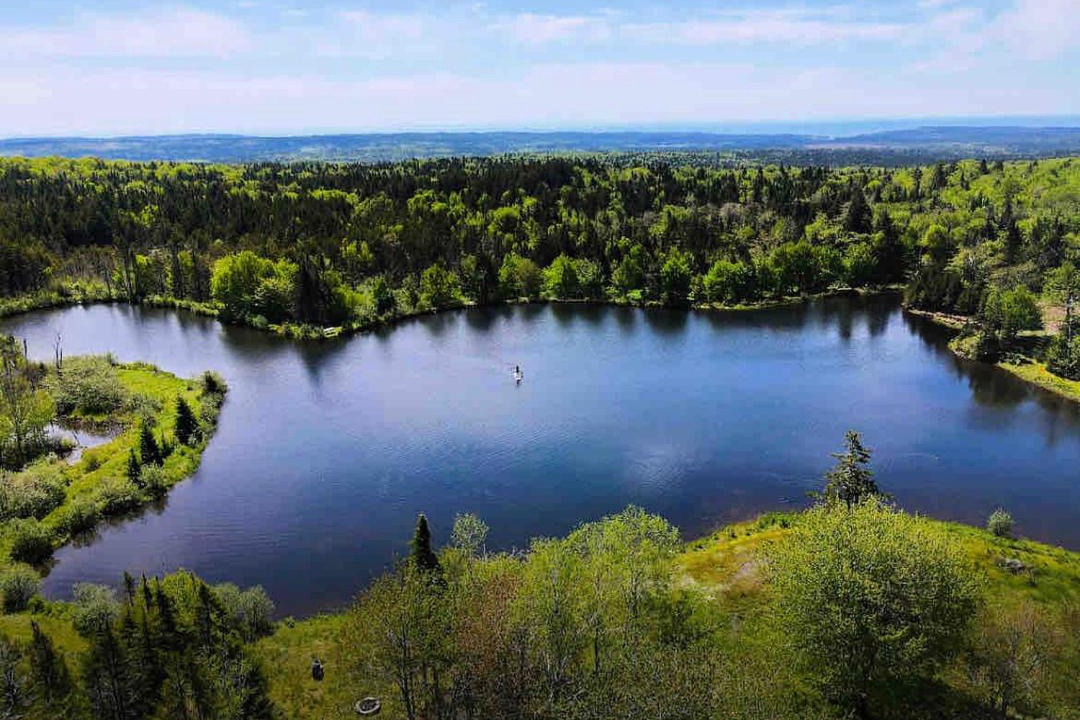 Photo of Others in Erbs Cove