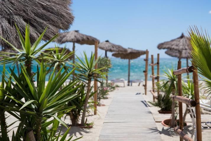 Photo of Others in Saint-Cyprien Plage