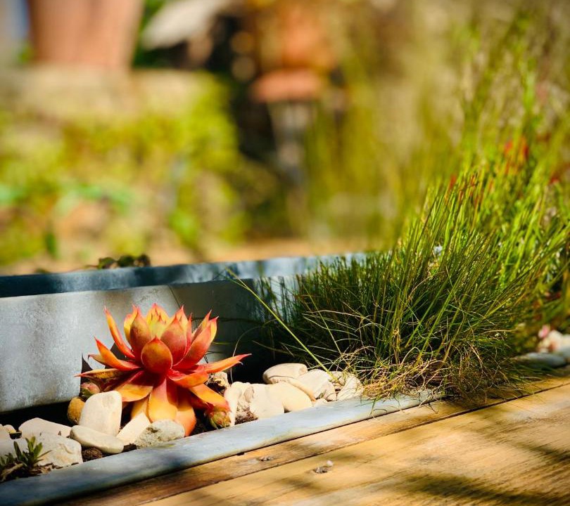 Photo of Others in Sainte-Suzanne-and-Chammes