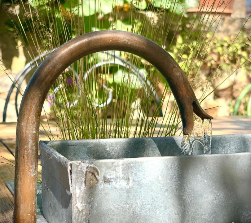 Photo of Others in Sainte-Suzanne-and-Chammes