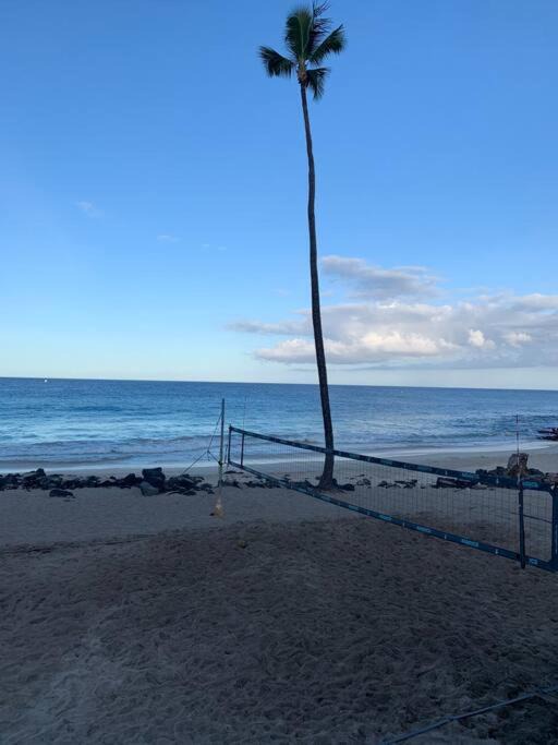 Photo of Others in Kahaluu Bay