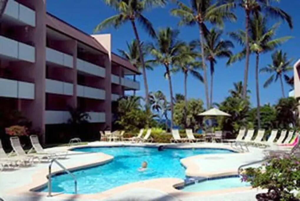 Photo of Others in Kahaluu Bay