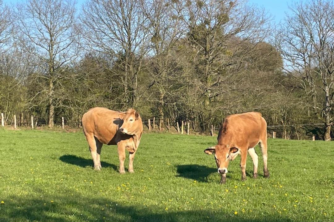 Photo of Others in Le Grais