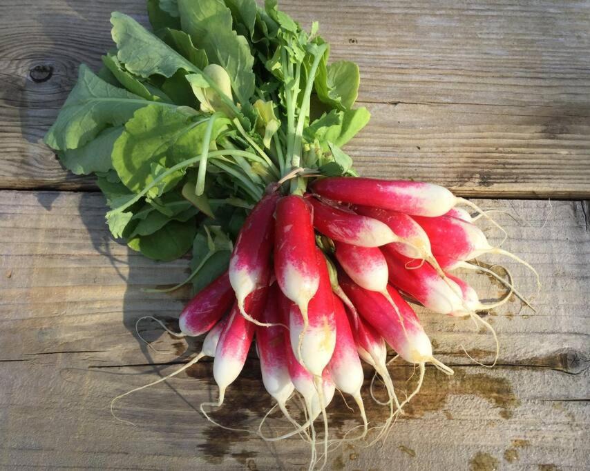 Photo of Others in Marcillac-la-Croisille